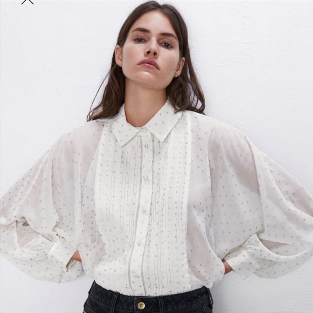 Zara Sheer Polka Dot Blouse